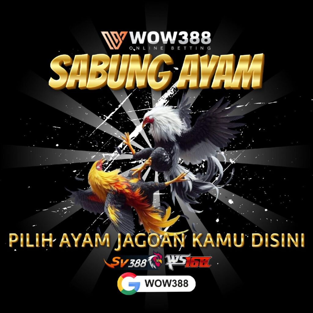 sabung ayam online, sabung ayam online sv388 live